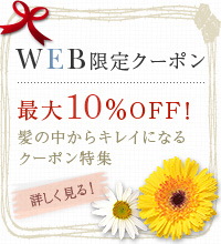 WEB限定クーポン